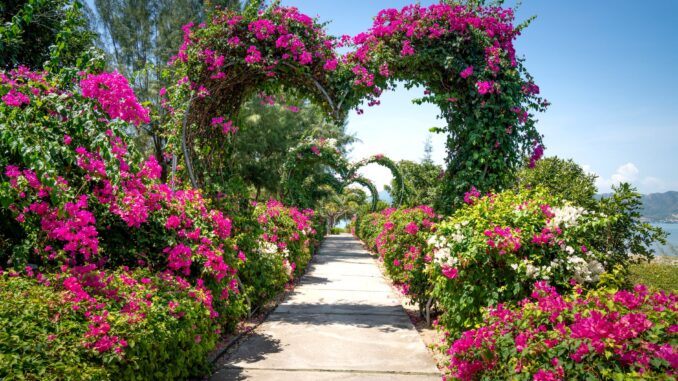 Heart-shaped-flowers