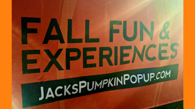 Fall Fun and Experiences at Jack's Great Pumpkin Experience Scene Photo b Dr. Tracey Bond - Splash Magazine